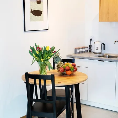 Maya's Flats & 41 - Walowa 25 Apartment *